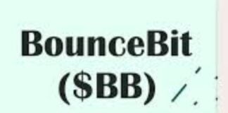 Bounce Bit Token: cosa sono e quali problemi risolvono? Bounce Bit Token: quali sono i vantaggi e gli svantaggi
