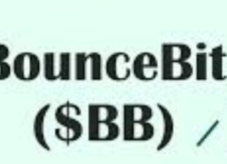 Bounce Bit Token: cosa sono e quali problemi risolvono? Bounce Bit Token: quali sono i vantaggi e gli svantaggi