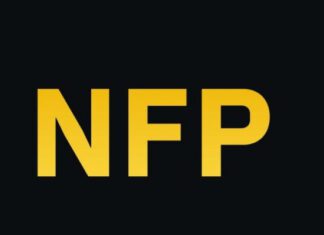 NFPrompt Crypto cosa rappresenta e in che modo funziona? NFPrompt Crypto: quali sono i vantaggi e quali i rischi