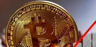 Bitcoin, il suo valore cresce sempre di più: gli esperti spiegano il motivo Bitcoin come mai il loro valore sta aumentando