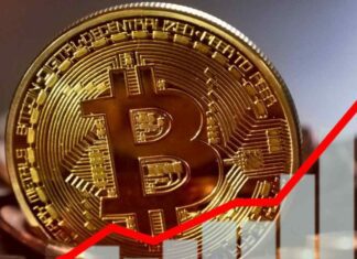 Bitcoin, il suo valore cresce sempre di più: gli esperti spiegano il motivo Bitcoin come mai il loro valore sta aumentando