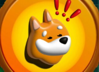 Crypto Bonk: cosa sono e che cosa sappiamo della loro storia? Crypto Bonk: cosa determina il loro valore