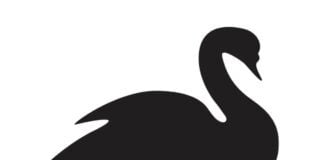 Evento del Cigno nero: di che cosa si tratta e perché si utilizza questa terminologia? Evento del Cigno nero, quale concetto si lega a questa definizione