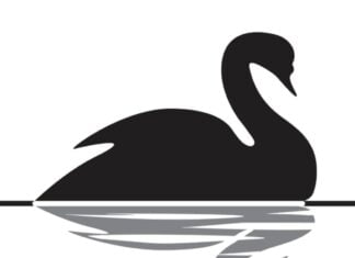 Evento del Cigno nero: di che cosa si tratta e perché si utilizza questa terminologia? Evento del Cigno nero, quale concetto si lega a questa definizione