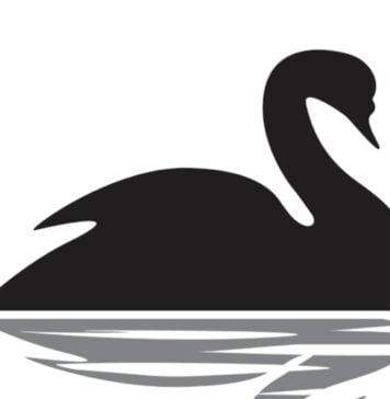 Evento del Cigno nero: di che cosa si tratta e perché si utilizza questa terminologia? Evento del Cigno nero, quale concetto si lega a questa definizione