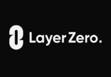 “Layer zero quali sono le caratteristiche” Layer Zero: cos'è e in che cosa consiste il suo funzionamento