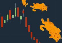 Rimbalzo del gatto morto: che cosa significa e quale impatto ha sul trading? Rimbalzo del gatto morto quali sono i vantaggi e quali i rischi