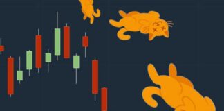 Rimbalzo del gatto morto: che cosa significa e quale impatto ha sul trading? Rimbalzo del gatto morto quali sono i vantaggi e quali i rischi