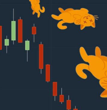 Rimbalzo del gatto morto: che cosa significa e quale impatto ha sul trading? Rimbalzo del gatto morto quali sono i vantaggi e quali i rischi