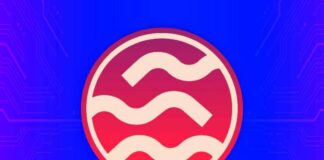 Sei Crypto: è questa la coin migliore di Settembre 2024 Sei Crypto: riscontro positivo per il mese di Settembre