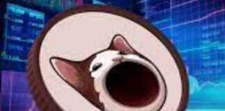 Popcat si espande: la meme coin vale 1 miliardo di dollari Popcat, la meme coin ha aumentato il suo valore