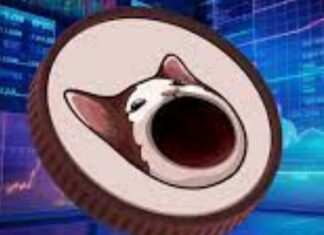 Popcat si espande: la meme coin vale 1 miliardo di dollari Popcat, la meme coin ha aumentato il suo valore