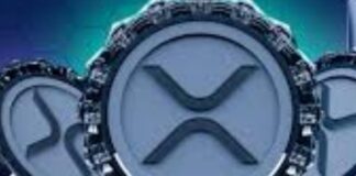 Margex migliora l’esperienza utente: ma in che modo? Margex, in che modo cambia il modo di fare trading