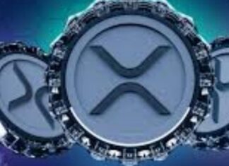 Margex migliora l’esperienza utente: ma in che modo? Margex, in che modo cambia il modo di fare trading