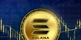 SOL, cresce il suo prezzo grazie alle meme di Solana SOL per quale motivo il suo prezzo è cresciuto