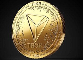 Tron la cripto che attira gli investitori Tron in che cosa consiste il lavoro di questa blockchain