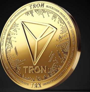 Tron la cripto che attira gli investitori Tron in che cosa consiste il lavoro di questa blockchain