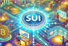 Blockchain Sui: nuovo protagonista nel mondo delle criptovalute