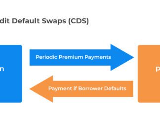 Cds cosa sono, come funzionano e perché sono importanti